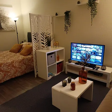 Le Jaude Centre Apartment